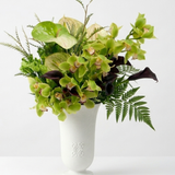 SAGELESS GREEN