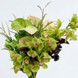 SAGELESS GREEN