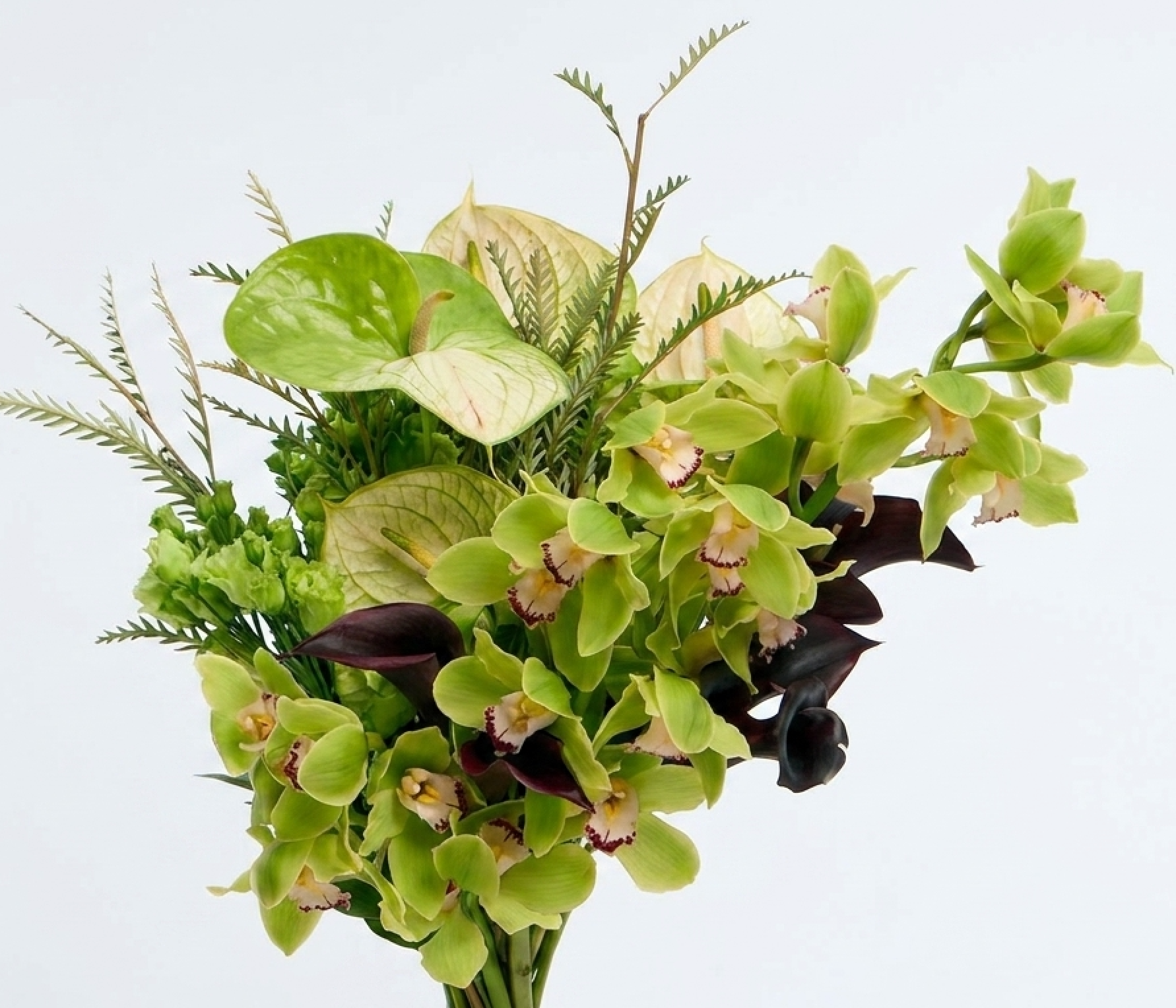 SAGELESS GREEN